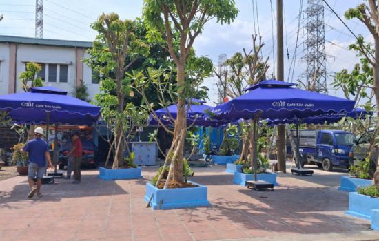 dù che nắng ở phan thiết