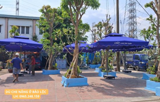 dù che nắng tại bảo lộc