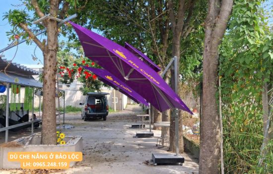 dù che nắng tại bảo lộc