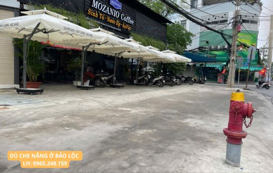 dù che nắng tại bảo lộc