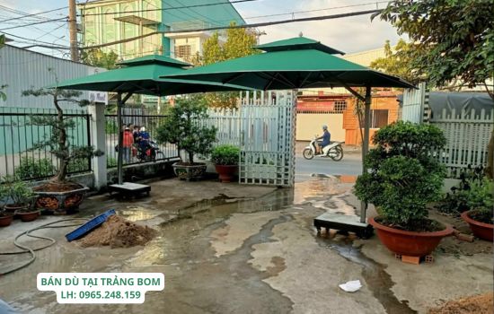 bán dù che nắng trảng bom