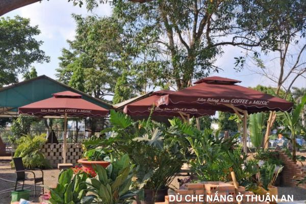 dù che nắng ở thuận an